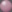 the_spoon_jeweler_updated376011.jpg